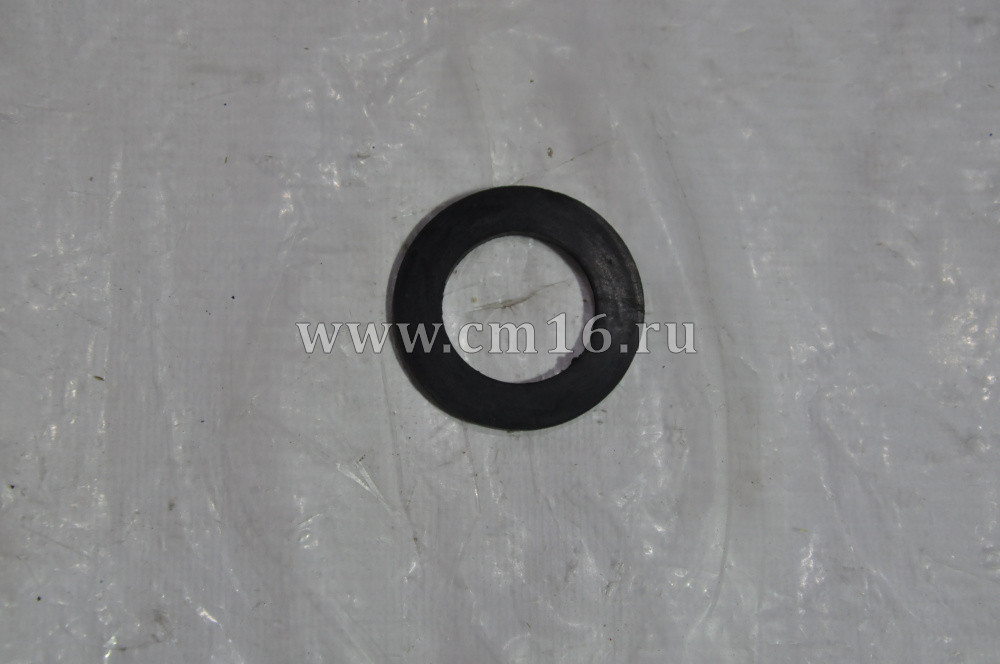4895461/5255460 Прокладка крышки маслозаливной горловины 6ISBe (C)