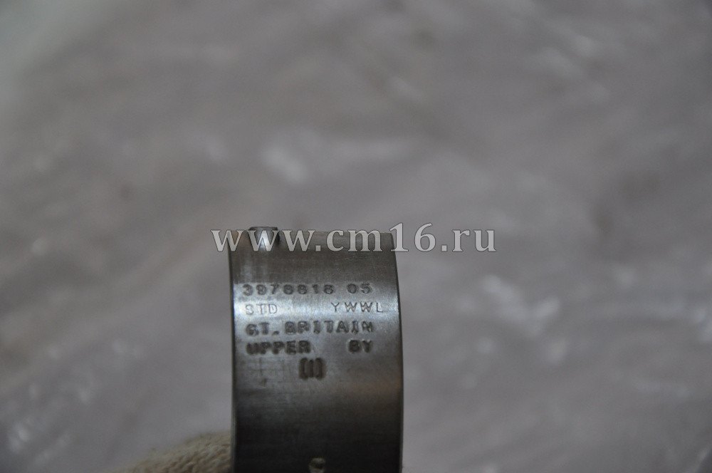 4955521/(3978820-6шт,3978818-6шт,3978824-1шт,3978822-1шт) Вкладыши к/в STD коренные 6ISBe,ISDe (С-)